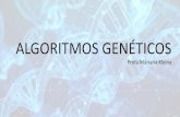 ALGORITMOS GENÉTICOS - UFPRmarianakleina/AG.pdf · AlgoritmoGenético(AG)éummétododeComputaçãoEvolucionáriainspirado naTeoria daEvoluçãodasEspéciesdeCharlesDarwin,usandoasseguintes