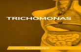 Ebook - Trichomonas · aliviar os sintomas, previne infecção respiratória ou genital no recém-nascido. O mesmo tratamento é recomendado para puérperas. A prevenção se dá