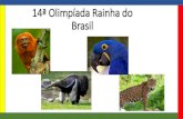 14ª Olimpíada Rainha do Brasilrainhadobrasil.g12.br/ckfinder/userfiles/files/Congresso Técnico.pdf · Projeto: Olimpíada 2019 Tema: Animais brasileiros em extinção Dias: 03,04,05,06