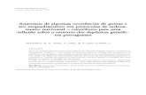 Anatomia de algumas ocorrências de gemas e seu enquadramento em protocolos de ... · 2017. 12. 21. · Cadernos Lab. Xeolóxico de Laxe Coruña. 1999. Vol. 24, pp. 31-44 Anatomia