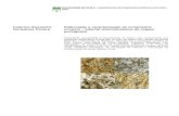 Catarina Alexandra Elaboração e caracterização de compósitos … · 2012. 5. 17. · utilizando o cimento Portland como elemento ligante. Até à produção dos compósitos foi