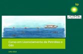 Curso em Licenciamento de Petróleo e Gás€¦ · Curso em Licenciamento de Petróleo e Gás Julho 2013. 2 Contexto MONITORAMENTO APROFUNDAMENTO TEMAS CAPACITAÇÃO A O MONITORAMENTO