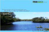 2004 PROARCA/APM, Programa Ambiental Regional Componente ... para Centroamérica, Componente de Áreas Protegidas y Mercadeo Ambiental, Proyecto USAID-CCAD, The Nature Conservancy