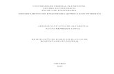 UNIVERSIDADE FEDERAL FLUMINENSE DEPARTAMENTO DE … Arthur-Lucas.pdf · de retificação de dados utilizando o software EMSO (S OARES e SECCHI, 2003) para a reconciliação de dados
