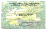 tomentosa L (LEGUMINOSAE) EM RESTINGA DA PRAIA DA JOAQUINA … · of Joaquina Beach in Santa Catarina Island, Florianópolis, SC. S. tomentosa has a long flowering, occurring from