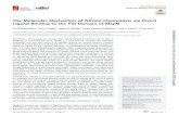 RESEARCH ARTICLE MolecularBiologyandPhysiology crossm · The Molecular Mechanism of Nitrate Chemotaxis via Direct Ligand Binding to the PilJ Domain of McpN David Martín-Mora, aÁlvaro