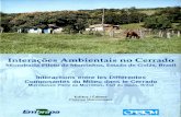 Interaçoes Ambientais no Cerrado€¦ · Interaçoes Ambientais no Cerrado Microbacia Piloto de Morrinhos,Estado de Goias, Brasil Interactions entre les Différentes Composantes