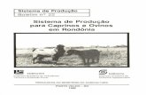 Sistema de Produção para Caprinos e Ovinos em …Caprinos e Ovinos em Rondônia PORTO VELHO - R0 1989 SÉRIE SISTEMA DE PRODUÇAO N"22 Tiragem: 800 exemplares Empresa Brasileira