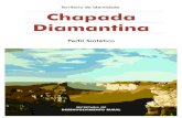 Perfil Chapada Diamantina · Desde 1985 a região foi declarada Parque Nacional, o que vem contribuindo para a preservação de seu patrimônio natural, cultural e histórico. A heterogeneidade