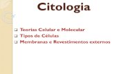 Citologia - sostenesbio.files.wordpress.com · Citologia Teorias Celular e ... Reforço Externo Vegetal: Parede celulósica. Especializações de Membrana Efeito impermeabilizante