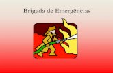 Brigada de Emergências · 2018. 1. 11. · Brigada de Emergências . CURSO BÁSICO DE PREVENÇÃO DE INCÊNDIOS . REAÇÃO QUÍMICA COM DESPRENDIMENTO DE LUZ E CALOR DEFINIÇÃO: