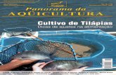 Panorama da AQÜICULTURA, novembro/dezembro, 2006€¦ · tilapicultura em tanques-rede no Nordeste do Brasil. O segundo, foi o Simpósio Internacional sobre a Aqüicultura de Tilápias