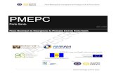 PMEPC - Autoridade Nacional de Proteção Civilplanos.prociv.pt/Documents/131317413689733257.pdf · Plano Municipal de Emergência de Proteção Civil do Porto Santo 6 Câmara Municipal
