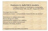 Hadrons in AdS/QCD modelsdarnassus.if.ufrj.br/~boschi/pesquisa/seminarios/Boschi_Natal_2013… · iiP-UFRN-Natal –RN, July 29 – August 09 2013 Henrique Boschi Filho Instituto