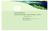 GEOPARQUE BODOQUENA-PANTANAL (MS) - propostarigeo.cprm.gov.br/jspui/bitstream/doc/17164/1/bodoquena.pdf · um Grupo de Trabalho e um cronograma de ações para a definição do “Geopark”