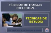 TÉCNICAS DE ESTUDIO - safaursevilla.es©cnicas-de-estudio-2º-ESO-1617.… · tÉcnicas de estudio 1. condicionantes del estudio. 2. principales problemas que afectan a los estudiantes.