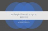 Morfologia Matemática: algumas aplicaçõesaconci/Morfologia_Rosana.pdf · Morfologia Matemática: algumas aplicações Rosana Gomes Bernardo Universidade Federal Fluminense. Roteiro
