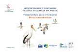 Ferramentas para o formador África subsahariana€¦ · Esta é uma nova versão das ferramentas que foram publicadas em 2012 (Hecker, N. 2012. Identificação e contagem de Aves