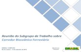 Reunião do Subgrupo de Trabalho sobre Corredor Bioceânico ... · Transportes. 2 . Sumário Histórico Situação atual dos trechos brasileiros O Programa de Investimento em Logística
