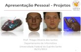Apresentação Pessoal - · PDF file 2 Experiência Prévia Formação • Engenharia de Computação (UFES, 2004) • Mestrado em Informática (UFES, 2006) –Reconhecimento facial