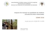 Impacto do manejo na qualidade da madeira oriunda de áreas … · 2018. 12. 13. · UNIVERSIDADE FEDERAL RURAL DO RIO DE JANEIRO INSTITUTO DE FLORESTAS NÚCLEO DE PESQUISA EM QUALIDADE