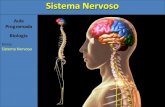 Sistema Nervoso - Aula Programada Biologia Tema: Sistema Nervoso Sistema Nervoso. Sistema Nervoso 1)