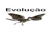 Evolução - profdorival.com.br · conceito de evolução biológica ao desenvolver argumentos que tentassem justiﬁcar os caminhos evolutivos. 03) Darwin se baseou nas ideias de