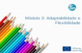 Módulo 3: Adaptabilidade e Flexibilidade · 2015. 12. 15. · Acreditamos que uma experiência como esta pode ser considerada um exemplo emblemático. A empresa teve necessidade