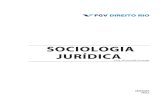 Sociologia Juridica 2020 2 OK · 2020. 7. 17. · SOCIOLOGIA JURDICA FGV DIREITO RIO 3 APRESENTAÇÃO INSTRUÇÕES PARA O CURSO Este é o roteiro para o acompanhamento das aulas de