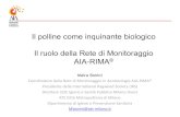 Il polline come inquinante biologico Il ruolo della Rete ...€¦ · Epidemiological Study Results •Increase of prevalence from 9.2% in 1996 to 14% in 2005 (sample: health care