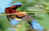 Aves da - Inpa · Aves da região de Manaus = Birds of the Manaus region / fotos de Anselmo d’Affonseca ; textos de Ingrid Torres de Macedo, Mario Cohn-Haft.--- Manaus : Editora
