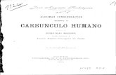 SOBRE O CARBÚNCULO HUMANO - Repositório Aberto · 2012. 3. 27. · CARBÚNCULO HUMANO DISSERTAÇÃO INAUGURAL ... Ngélosea feit, a a cultura em estria, desenvolve-se bem sob a