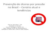 Prevenção de úlceras por pressão no Brasil Cenário atual e ...eerp.usp.br/feridascronicas/img/links/LPBrasil.pdf · no Brasil –Cenário atual e tendências Profa Dra. Maria