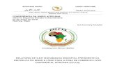 RELATÓRIO DE S.EXª MAHAMADOU ISSOUFOU, PRESIDENTE DA ... · niamey, níger ext/assembly/au/2(xii) relatÓrio de s.exª mahamadou issoufou, presidente da repÚblica do nÍger e lÍder