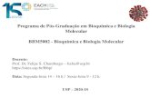 Programa de Pós -Graduação em Bioquímica e …...• RNA synthesis usually initiated with ATP or GTP (the first nucleotide) • RNA chains are synthesized in a 5’ to 3’ direction