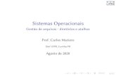 Sistemas Operacionais - Gestأ£o de arquivos - diretأ³rios e 2019. 5. 31.آ  Sistemas Operacionais Gestأ£o