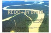 REDD+in% Brazil% - Food and Agriculture REDD+in% Brazil% Thelma Krug% thelmakrug@dir.inpe.br% InstutoNacionalde%PesquisasEspaciaisC%INPE
