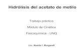 Trabajo práctico Módulo de Cinética Fisicoquímica -UNQufq.unq.edu.ar/Docencia-Virtual/FQblog/ComA/Explicacion... · 2015. 6. 29. · Trabajo práctico Módulo de Cinética Fisicoquímica