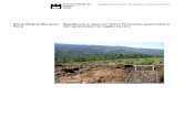 Sílvia Regina Marques Repelência à água em Solos Florestais … · 2012. 9. 6. · A repelência dos solos diminui nos meses de Inverno devido ao maior teor de humidade no solo.