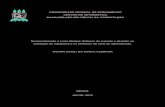 UNIVERSIDADE FEDERAL DE PERNAMBUCO CENTRO DE …tg/2012-1/vaca.pdf · Desmembrando o Lean Sartup: Sistema de suporte a decisão na validação de hipóteses e na melhoria do ciclo