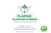 PLANTAR CARBON 2019. 9. 18.آ  PLANTAR CARBON Experiأھncia: Pioneirismo e mais de 15 anos de experiأھncia