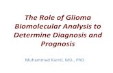 The Role of Biomolecular Analysis to Determine Glioma ... · c-d. HE infiltrasi leptomening dan gambaran sel oligodenroglial tumor e. OLIG2 (IHC) ; f. synaptophysin confirm oligodendroglial