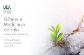 Gênese e Morfologia do Solo€¦ · Gênese e Morfologia do Solo Prof. Iane B. Gomes Engenheira Florestal CESIT-UEA Processos de formação do solo