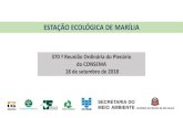 ESTAÇÃO ECOLÓGICA DE MARÍLIA · 2018. 10. 2. · Rede hidrográfica da Estação Ecológica de Avaré e os locais onde foram feitas as análises de qualidade da água Condutividade