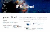 Infraestrutura portuguesa para armazenamento e disponibilização de … · 2019. 7. 25. · Velocidade média de download de produtos da plataforma IPSentinel é. 12,4. MB/s Velocidade