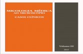 AO MICROSCÓPIO CASOS CLÍNICOS · 2017. 2. 7. · Micológia Médica ao Microscópio - Casos Clínicos Jeferson C de Oliveira 3 Introdução Durante muitos anos, a micologia teve