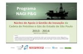 Programa NAGI P&G...Núcleo de Apoio à Gestão da Inovação da Cadeia de Petróleo e Gás do Estado de São Paulo 2013 -2014 Edital Pro-Inova FINEP/2010 Programa NAGI P&G Sensibilização