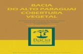 Monitoramento das alterações da cobertura vegetal e uso do ......Monitoramento das alterações da cobertura vegetal e uso do Solo na Bacia do Alto Paraguai – Porção Brasileira