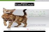Cuidando do sistema renal de gatos saudáveis - Amazon S3 · 2016. 6. 14. · INFORMATIVO TÉCNICO 4 CIdAndO dA SAde RenAl de AtOS SAdveIS Cuidando da saúde renal de gatos saudáveis