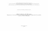 Mercadores de Braços - USP · 2008. 9. 30. · companhias de navegação (vetores) – 1909-1910 84 Tabela 1. 8. Saída de emigrantes italianos da Sardenha para o exterior (1876-1915)